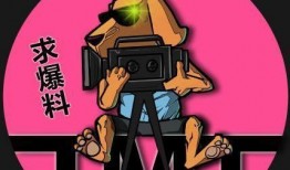 娱乐吃瓜粉丝探班,粉丝探班揭秘明星幕后生活