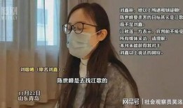 刘鑫最近爆料视频播放,揭秘背后惊人真相